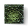 Centre of Cactus Pinback Buttons