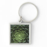 Centre of Cactus Keychain