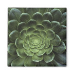 Centre of Cactus Fridge Magnet