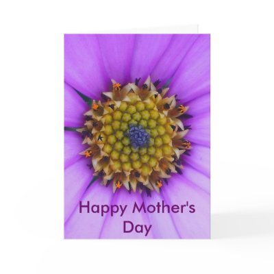 centre of delight macro, Happy Mother's Day by dawnmcininch