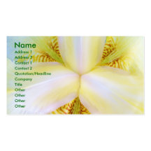 Centre of the Universe Business Card Templates