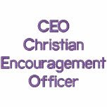 CEO~Christian Encouragement Officer Embroidered Hooded Sweatshirt