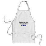 CEO During The Day aprons