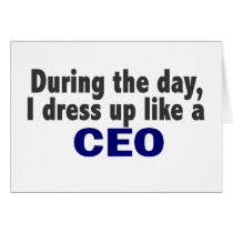 CEO During The Day