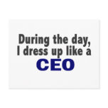 CEO During The Day