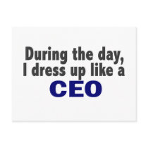 CEO During The Day