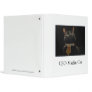 CEO Marlin Cat Binders