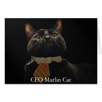 CEO Marlin Cat Greeting Cards by aboveparr