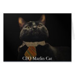 CEO Marlin Cat Greeting Cards