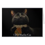 CEO Marlin Cat Greeting Cards