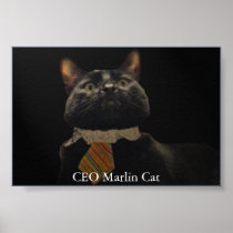 CEO Marlin Cat Posters