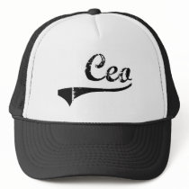 Ceo Professional Job Mesh Hat