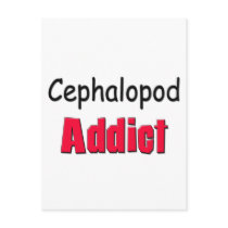 Cephalopod Addict Postcard