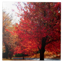 Ceramic tile with fall foliage`