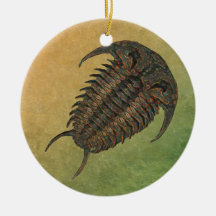 Ceraurus Fossil Trilobite Ornament
