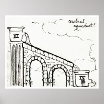 Cerebral Aqueduct print