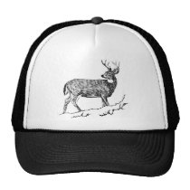 Cerfs communs/blanc - virginian Calvi coupé la que chapeaux
