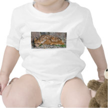 Cerfs communs de bébé barboteuse