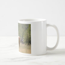 Cerfs communs du Montana Mugs À Café
