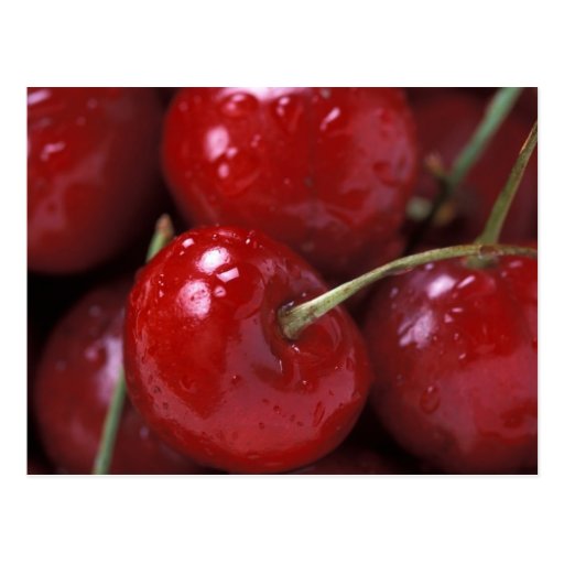 CERISES CARTE POSTALE
