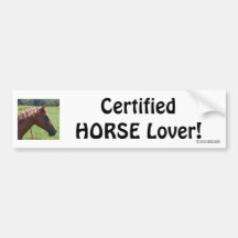 Certified HORSE Lover! Bumper Sticker