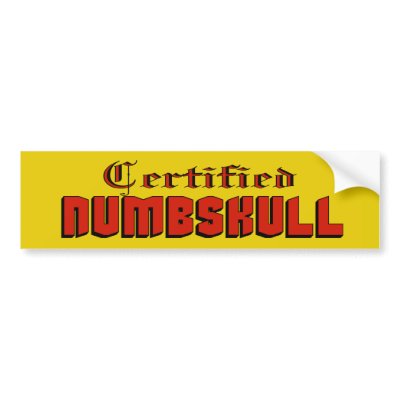 Certified Numbskull Bumper Sticker by funnybumpersticker