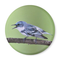Cerulean Warbler Fridge Magnet