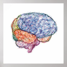 cerveau affiches