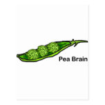 Cerveau de pois cartes postales
