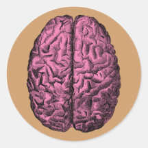 Cerveau humain d'anatomie autocollant rond