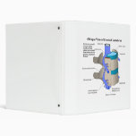 Cervical Vertebra of the Human Spinal Column Vinyl Binder