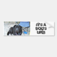 C'est la VIE D'UN CHIEN ! ! Adhésifs Pour Voiture