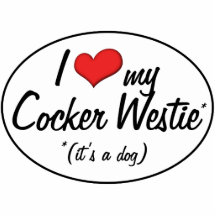 C'est un chien ! J'aime mon cocker Westie Photos En Relief