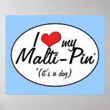 C'est un chien ! J'aime mon Malti-Pin Posters