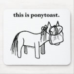 c'est un mousepad de ponytoast tapis de souris