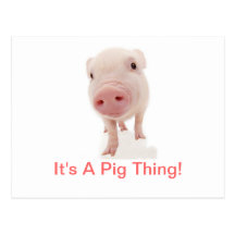 C'est une chose de porc cartes postales