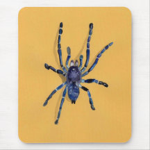 c'est une illustration d'une migale tapis de souris