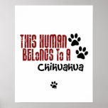 Cet humain appartient à un chiwawa posters