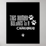Cet humain appartient à un chiwawa posters