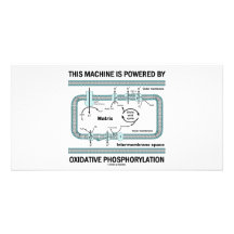 Cette machine actionnée par phosphorylation oxydan photocartes personnalisées