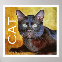 Cezanne's cat posters