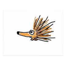 CF- Funky Porcupine Post Cards