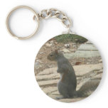 CF- squirrel keychain