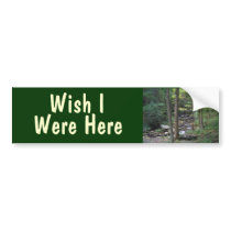 CF- Woodland Stream Bumper sticker