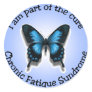 CFS Awareness stickers