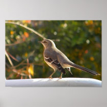 CG- Mockingbird Poster