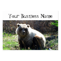 CGB Chubby Grizzly Bear Business Card Template