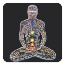 Chacras/Chakras Stickers