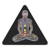 Chacras/Chakras Stickers