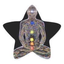 Chacras/Chakras Stickers